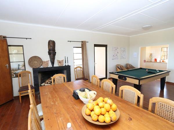 South Africa volunteering with the big five