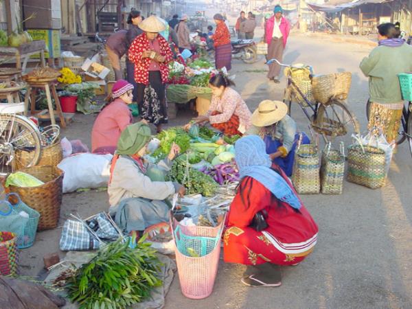 Myanmar 2 week insight tour