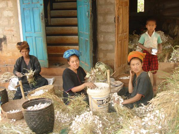 Myanmar 2 week itinerary