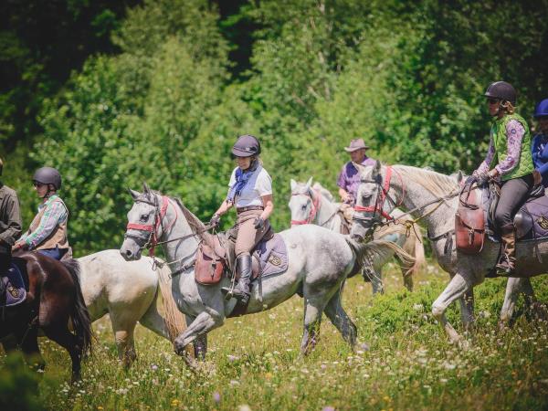 Horse riding vacations in Transylvania