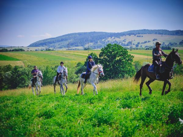Horse riding vacations in Transylvania