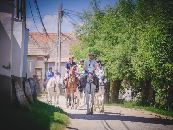 Horse riding vacations in Transylvania