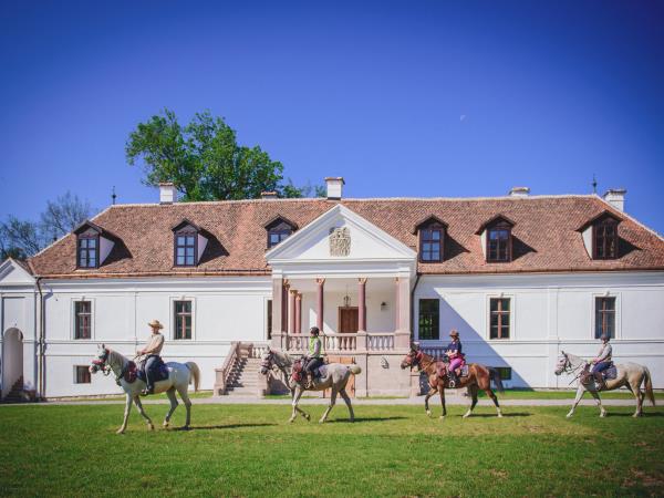 Horse riding vacations in Transylvania