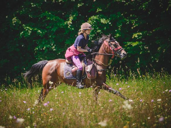 Horse riding vacations in Transylvania