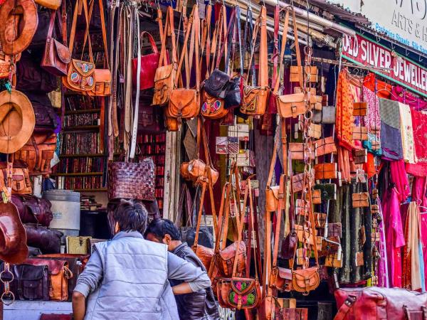 North India highlights tour