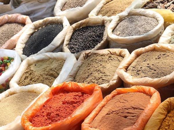 Taste of India culinary tour