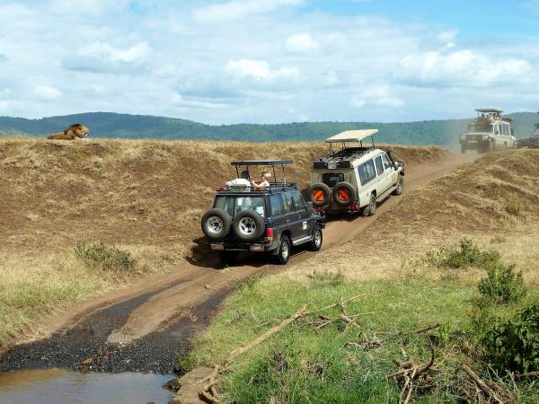 Tanzania safari vacation, tailor made