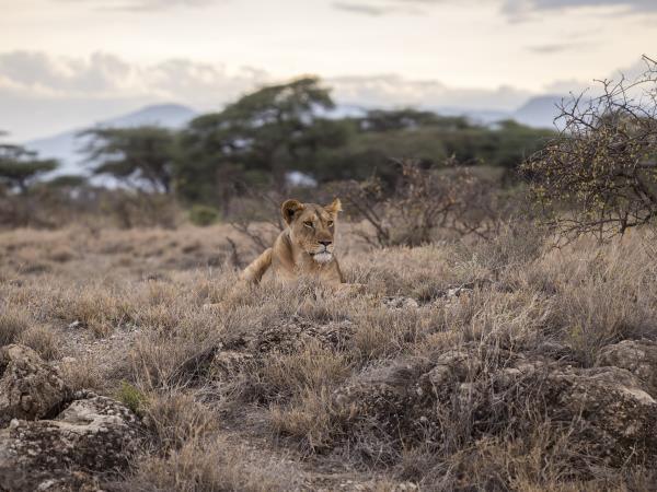 Serengeti safari holiday, Tanzania