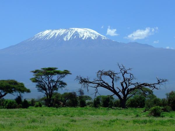 Kilimanjaro Lemosho route & Meru trekking holiday