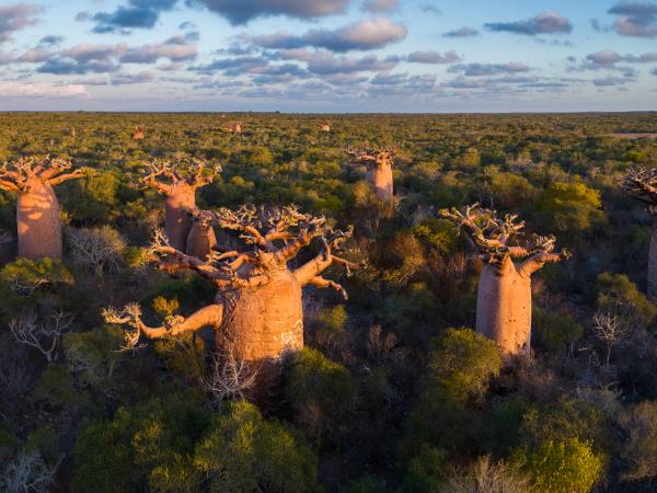 Madagascar Photography vacation