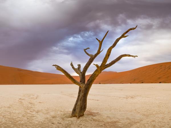 Namibia photography vacation