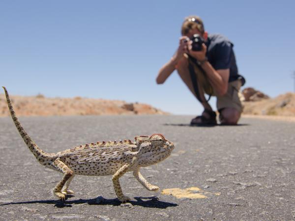 Namibia photography vacation