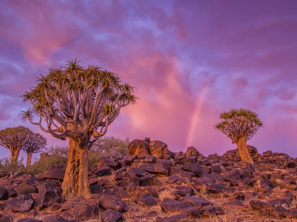 Namibia photography vacation