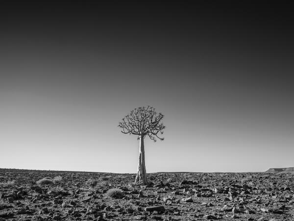 Namibia photography vacation