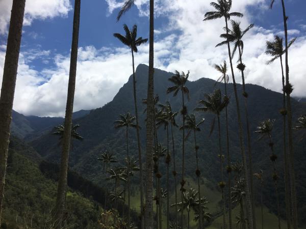 Colombia highlights tour, 12 days