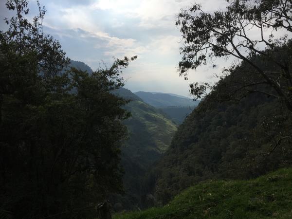 Colombia highlights tour, 12 days