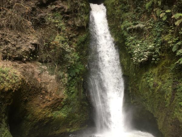 Colombia highlights tour, 12 days