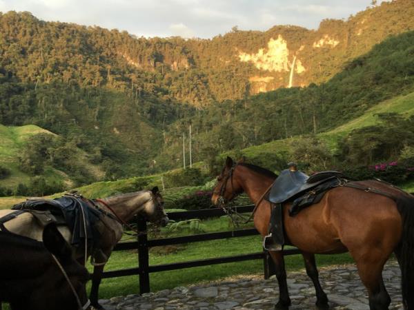 Colombia highlights tour, 12 days