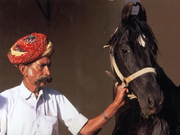 India horse riding vacations