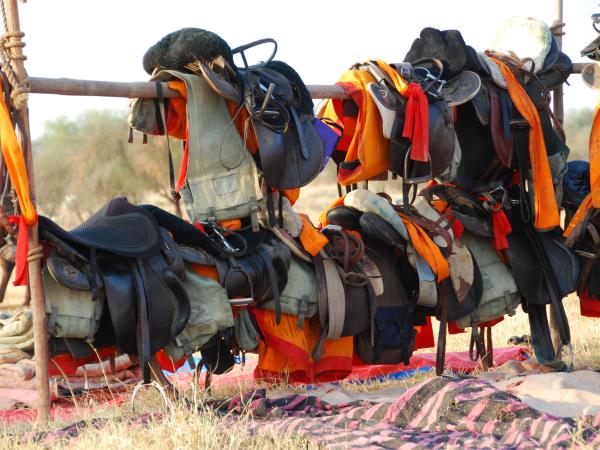 India horse riding vacations