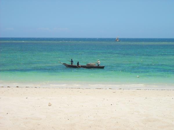 Kenya safari and beach vacation