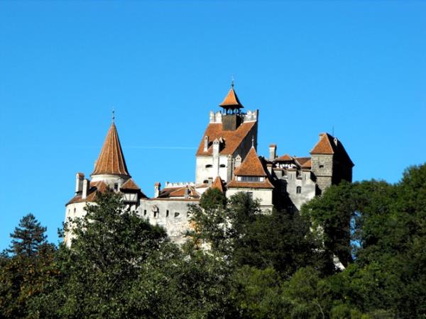 Art course in Romania
