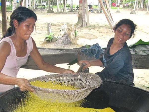Amazon River Cruise, 7 days