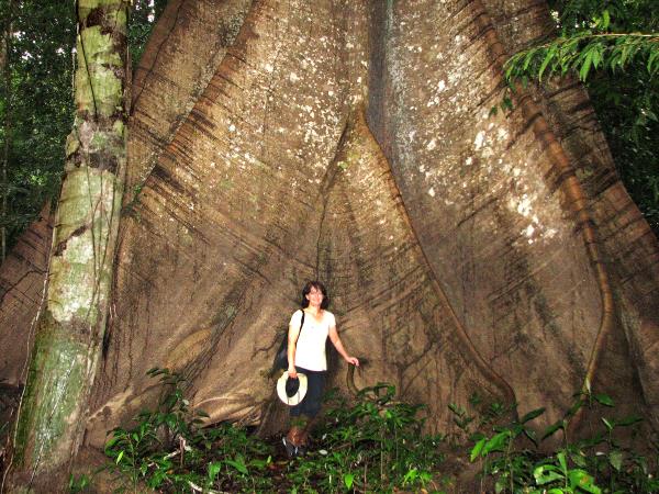 Amazon River Cruise, 7 days