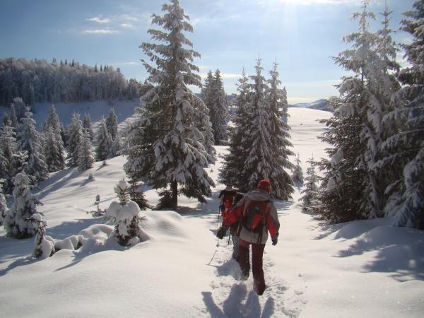 Carpathian Mountains snowshoeing vacation, Romania