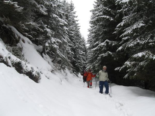 Carpathian Mountains snowshoeing vacation, Romania