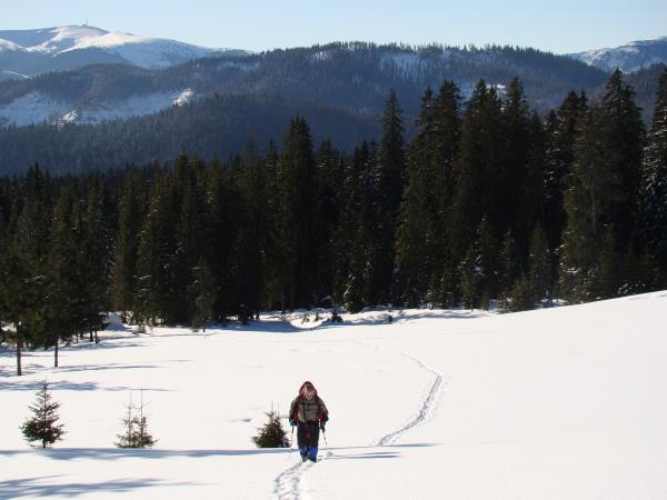 Carpathian Mountains snowshoeing vacation, Romania
