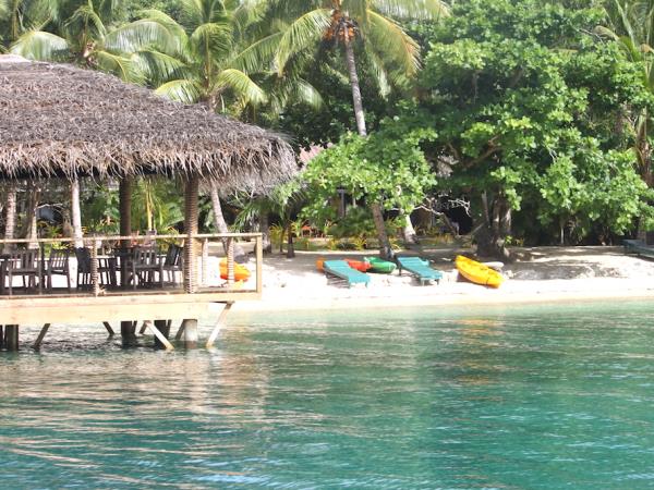 Swim with humpback whales in Tonga