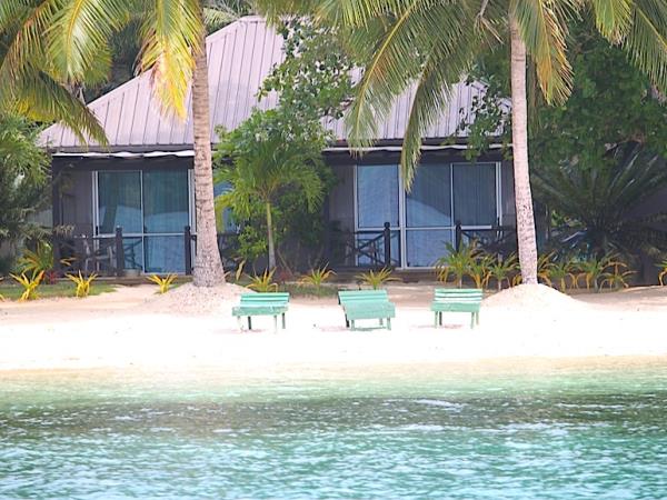 Swim with humpback whales in Tonga 