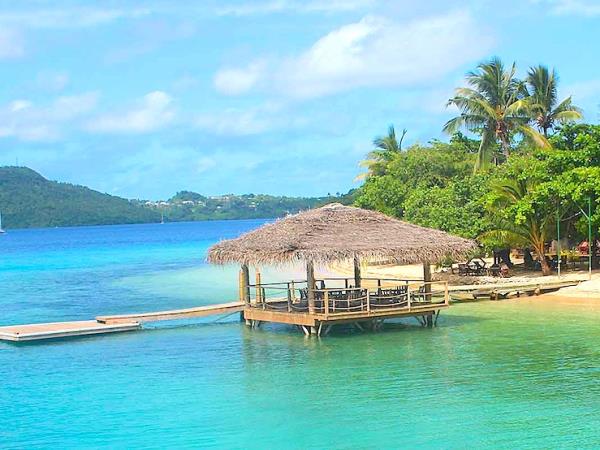 Swim with humpback whales in Tonga