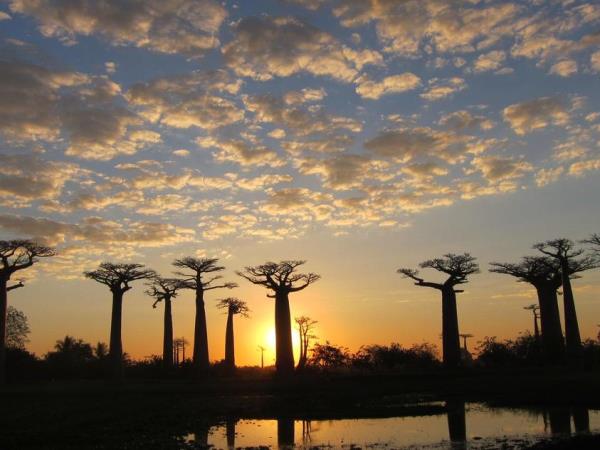 Wild Madagascar tour, small group