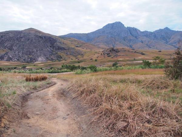 Wild Madagascar tour, small group