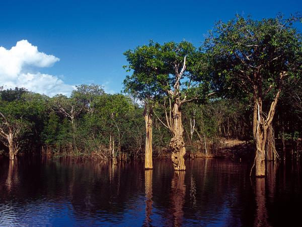 Amazon explorer small ship cruise