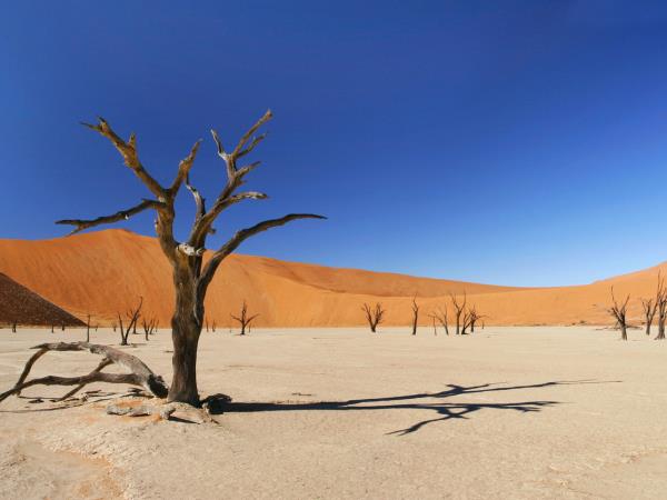 Classic Namibia tailor made tour