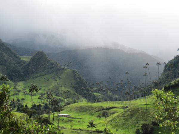 Trekking in Colombia