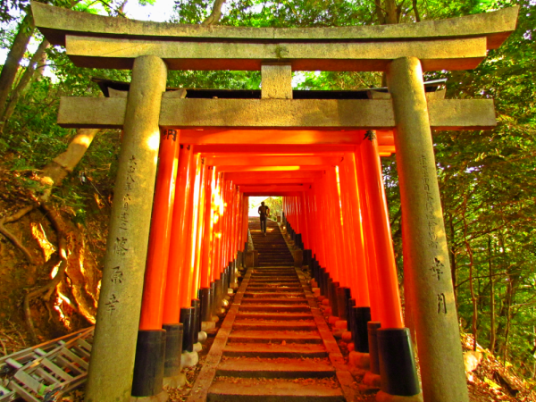 Japan 10 day itinerary
