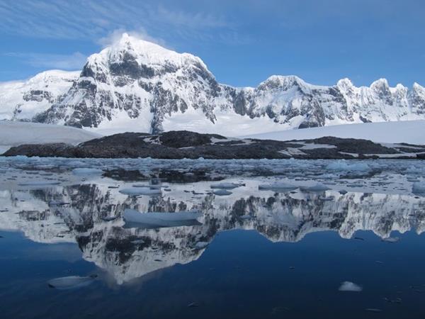 Falklands, South Georgia and Antarctica cruise