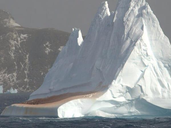 Falklands, South Georgia and Antarctica cruise