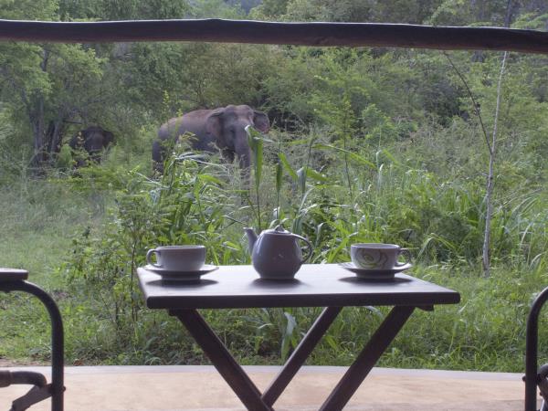 Sri Lanka eco lodge accommodation
