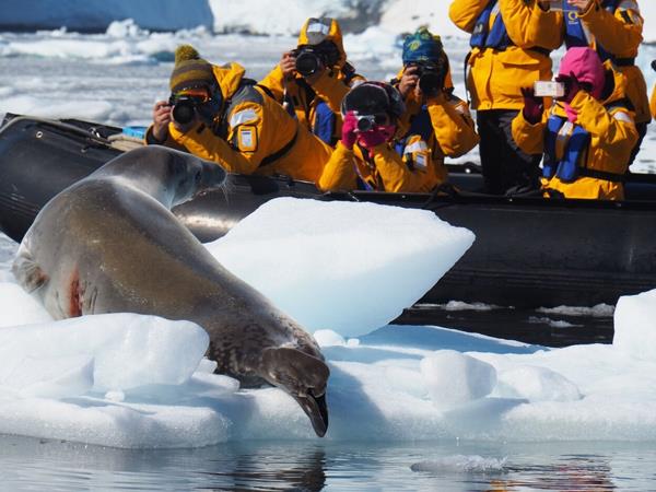 Antarctica fly cruise