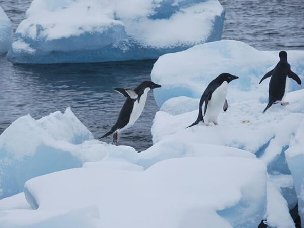 Antarctica fly cruise