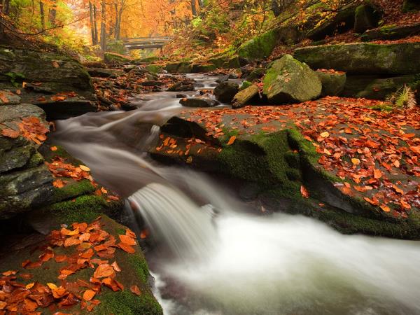 Bulgaria self-guided hiking and spa vacation