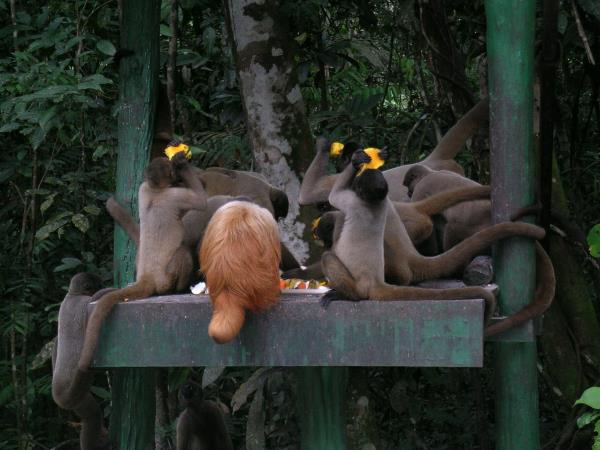 Brazil highlights vacation
