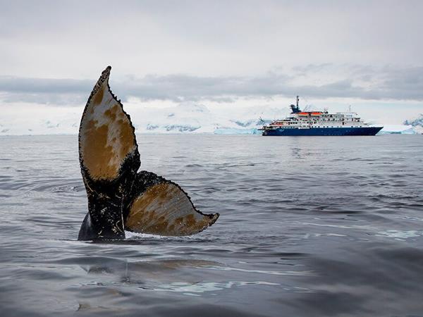 Luxury Arctic cruise Spitsbergen & Franz Josef Land