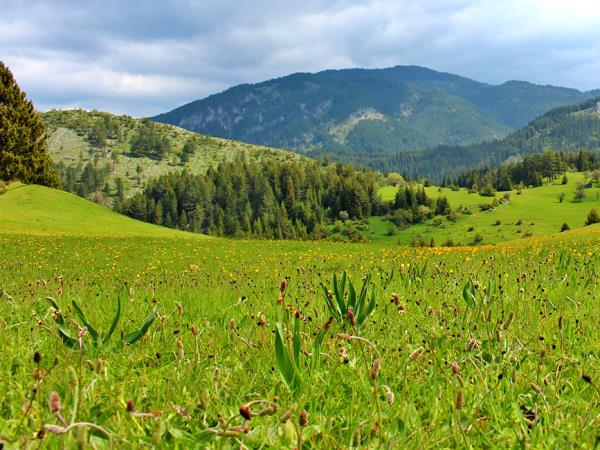 Self-guided hiking Bulgaria, Rhodopes