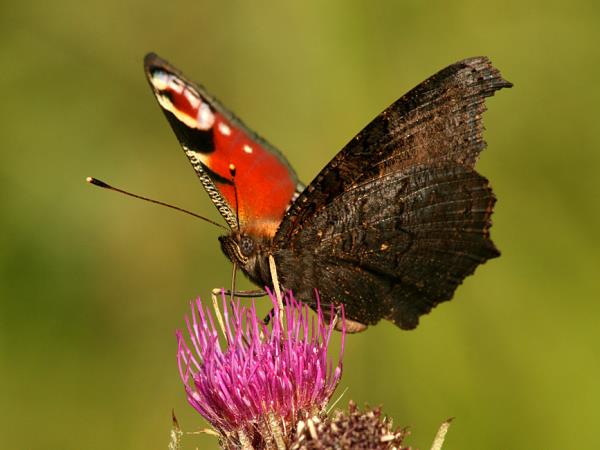 Bulgaria mountains hiking and culture vacation